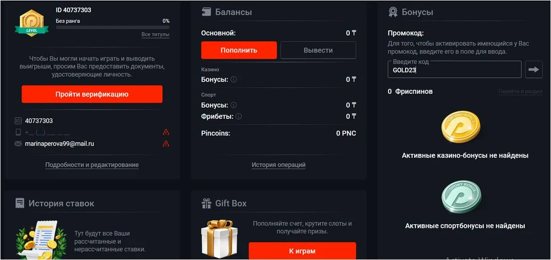 Пополнение счета и вывод средств в Pin Up
